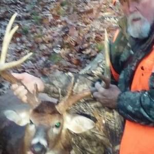 Meet your Posher, Don